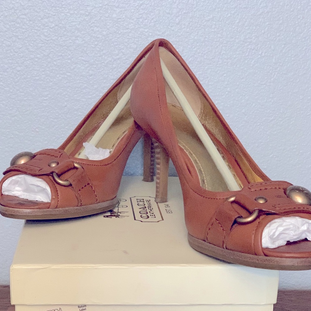Whiskey Coach Shoe